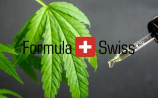 Cannabisdråber til hele verden: Formula swiss' globale eventyr