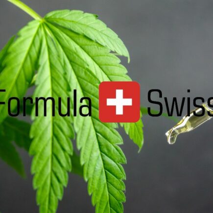 Cannabisdråber til hele verden: Formula swiss' globale eventyr