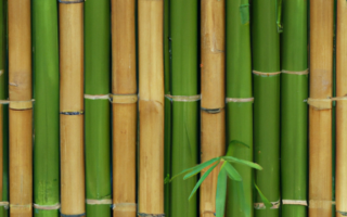 Bambus Tøj: Det Nye Modehit
