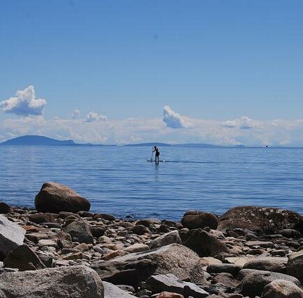 Syv sjove facts om paddleboard du med sikkerhed endnu ikke kender